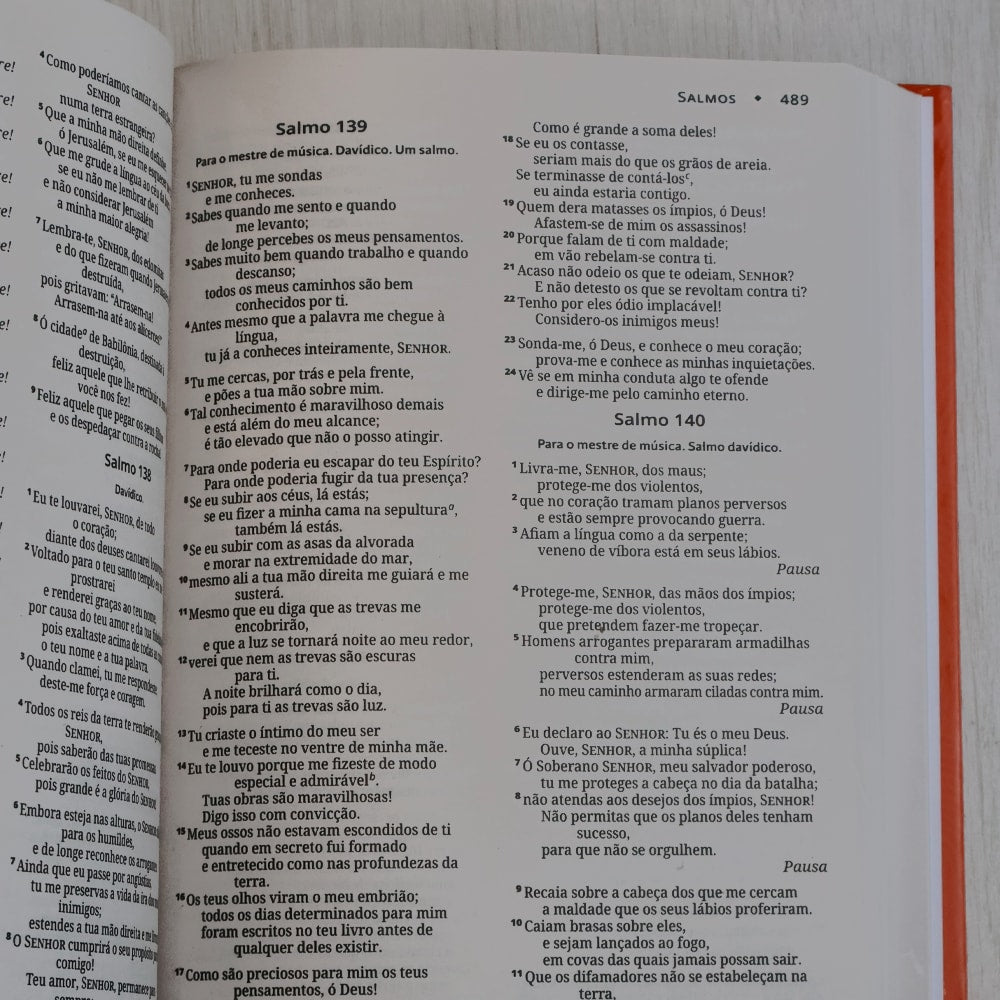 Bíblia Sagrada | NVI | Letra Grande | Capa Dura Clássica