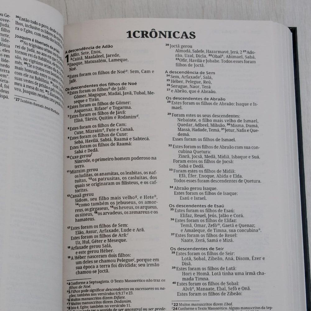 Bíblia Sagrada | NVI | Letra Grande | Capa Dura Leão Grafite