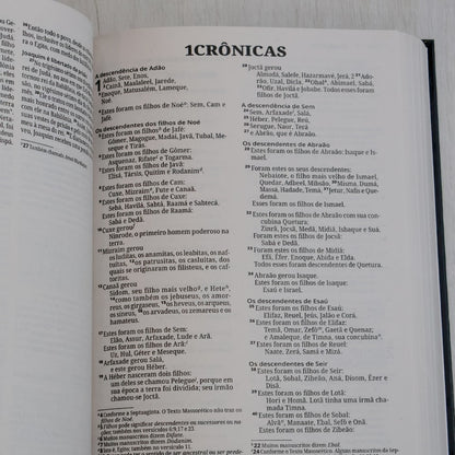 Bíblia Sagrada | NVI | Letra Grande | Capa Dura Leão Grafite