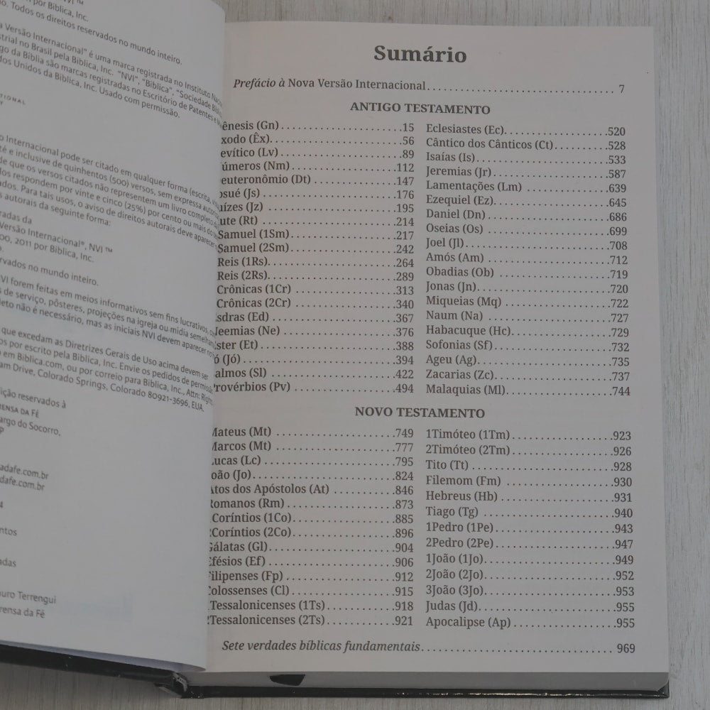 Bíblia Sagrada | NVI | Letra Grande | Capa Dura Leão Grafite