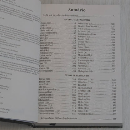 Bíblia Sagrada | NVI | Letra Grande | Capa Dura Leão Grafite