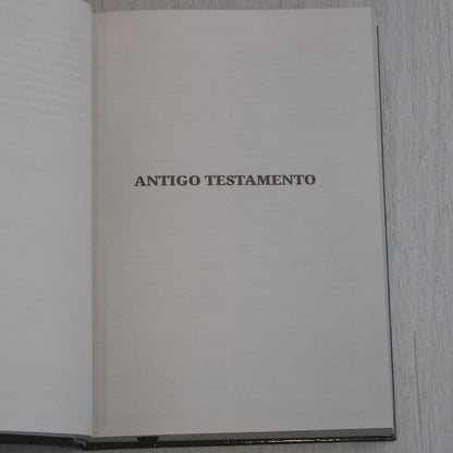 Bíblia Sagrada | NVI | Letra Grande | Capa Dura Leão Grafite