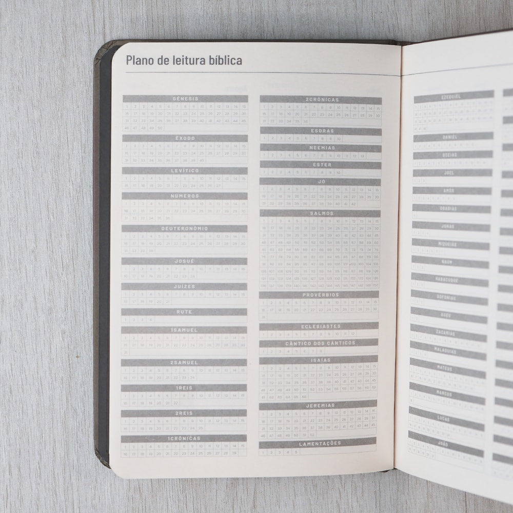 Moleskine | Os Planos de Deus | Bronze | Viviane Martinello