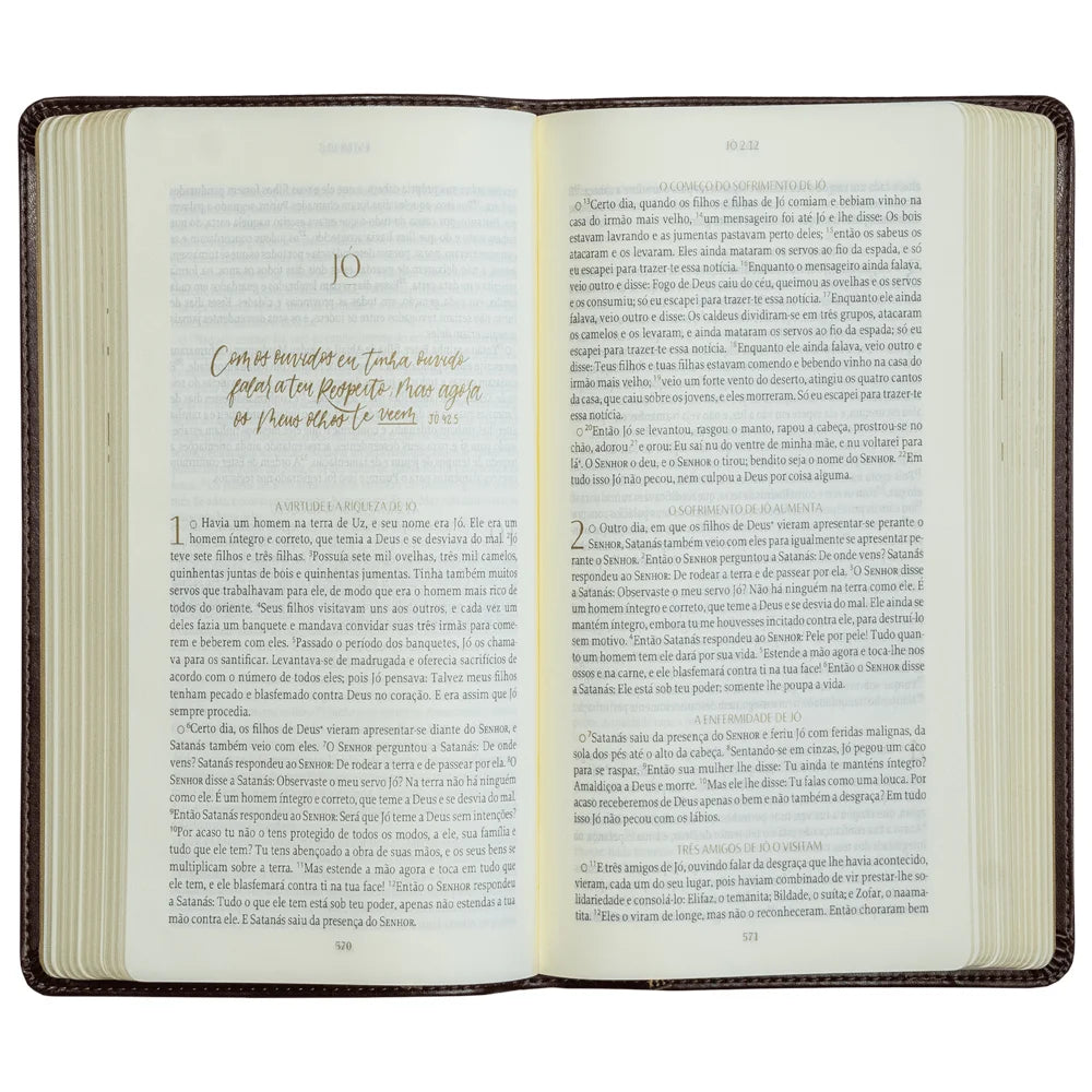 Bíblia The Purpose Book | A21 | Capa Couro Soft Marrom Cruz
