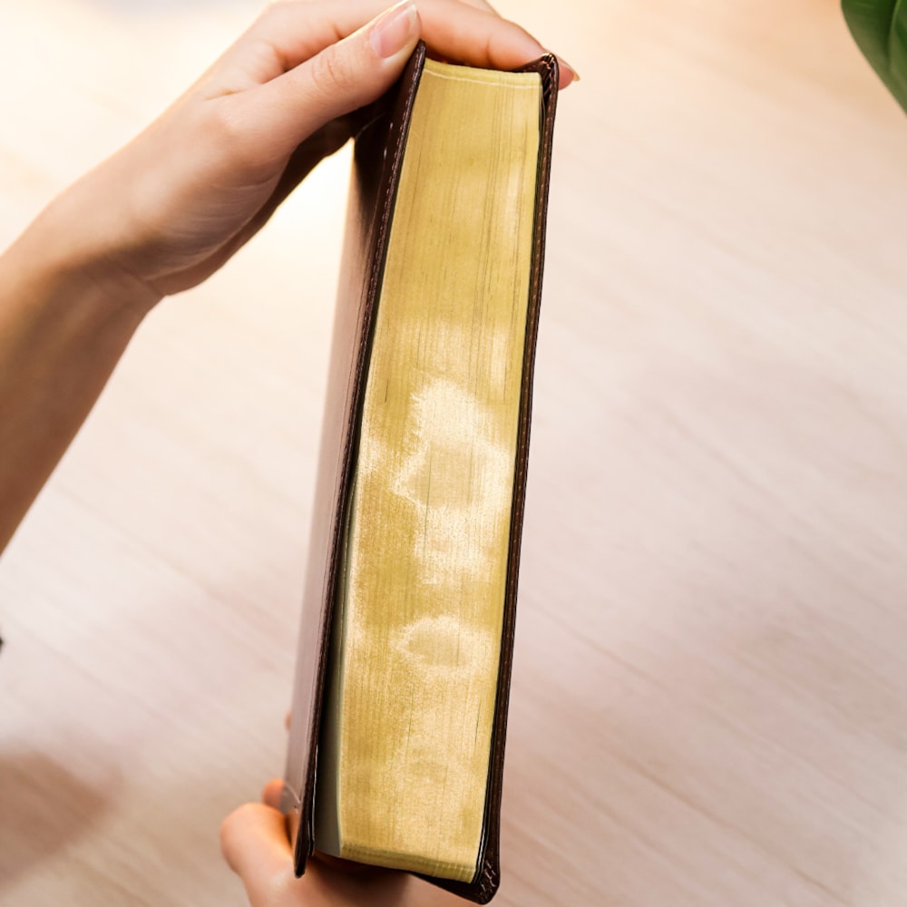 Bíblia The Purpose Book | A21 | Capa Couro Soft Marrom Cruz