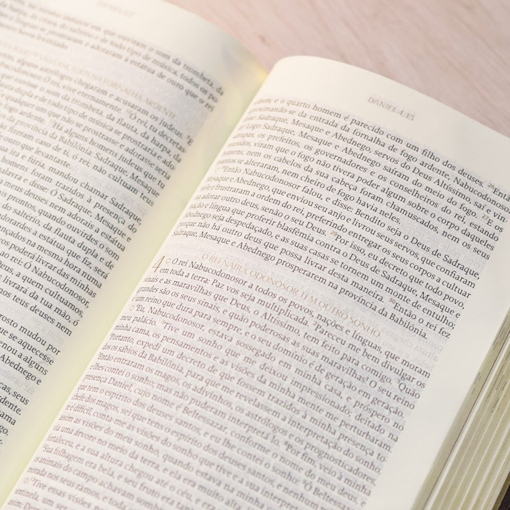 Bíblia The Purpose Book | A21 | Capa Couro Soft Marrom Cruz