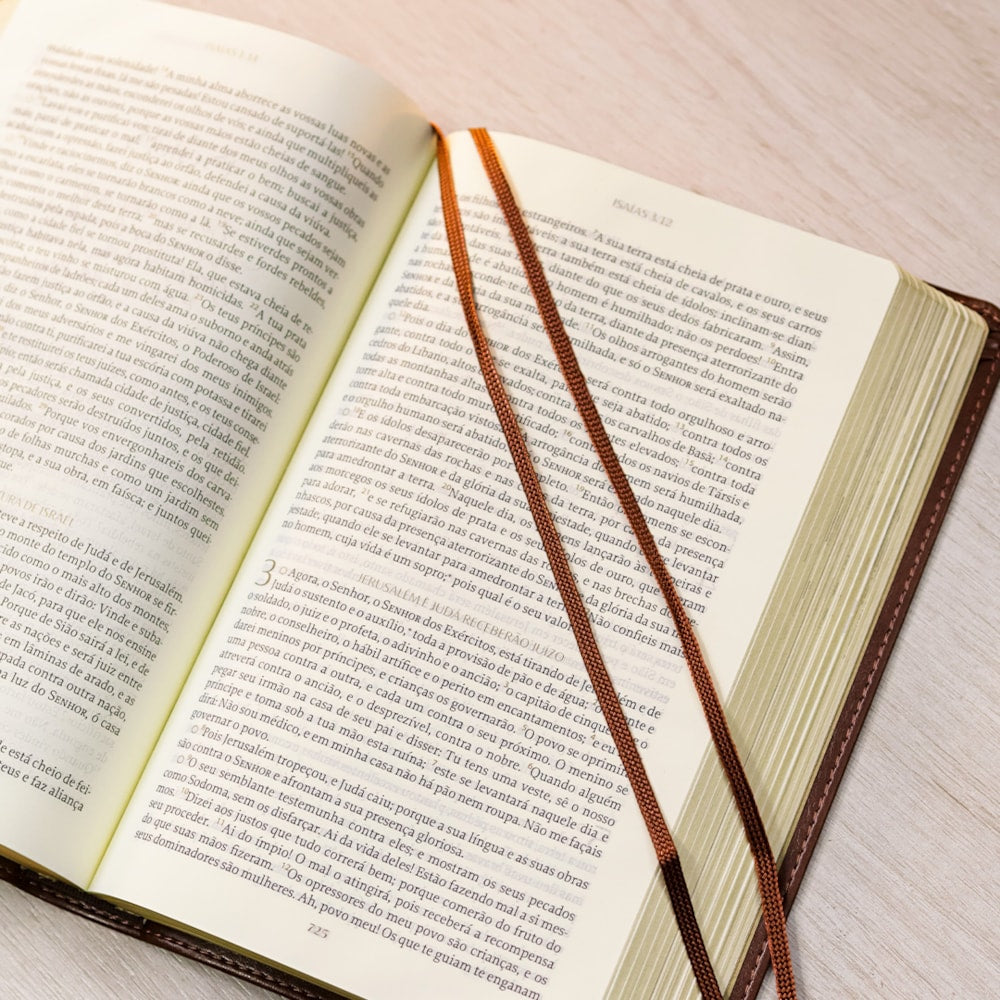 Bíblia The Purpose Book | A21 | Capa Couro Soft Marrom Paisagem