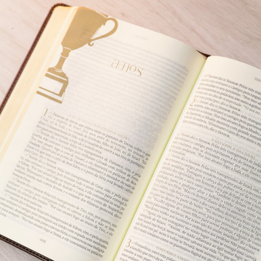 Bíblia The Purpose Book | A21 | Capa Couro Soft Marrom Paisagem