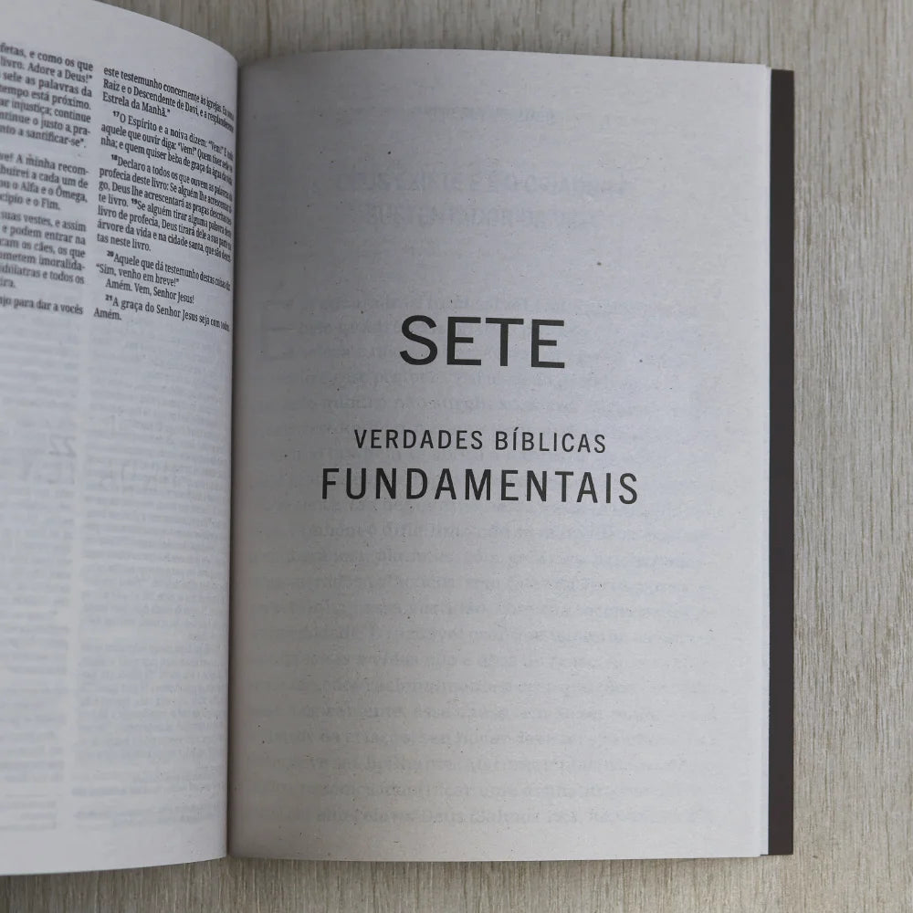 Bíblia Sagrada Jesus Cristo | NVI | Capa Brochura Marrom