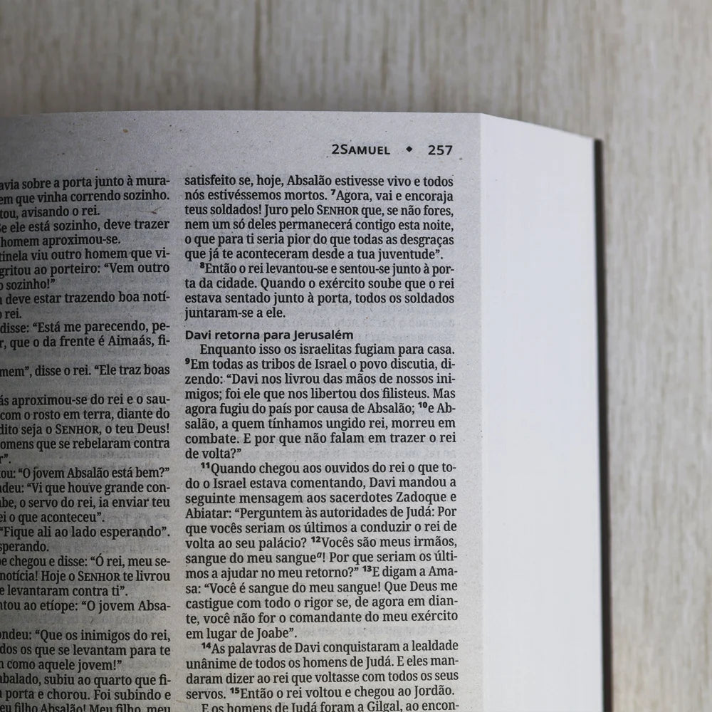 Bíblia Sagrada Jesus Cristo | NVI | Capa Brochura Marrom