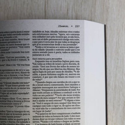 Bíblia Sagrada Jesus Cristo | NVI | Capa Brochura Marrom
