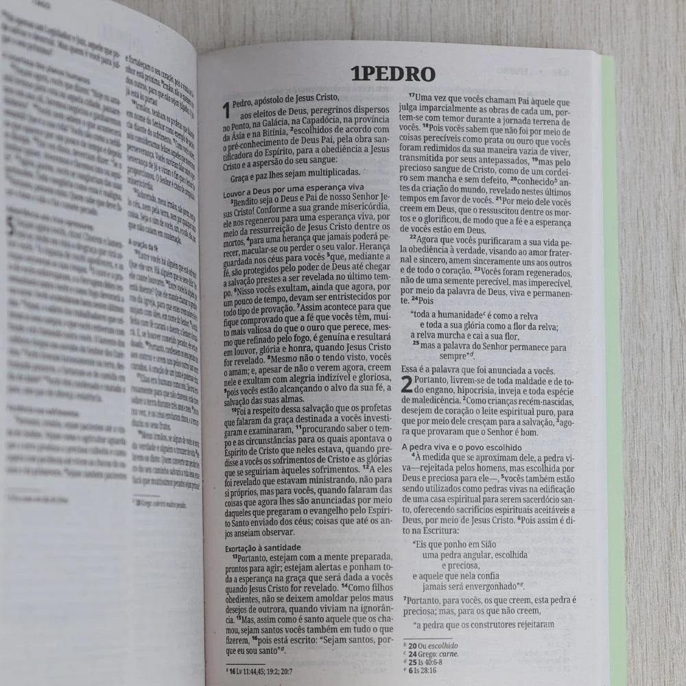 Bíblia Sagrada Árvore | NVI | Capa Brochura