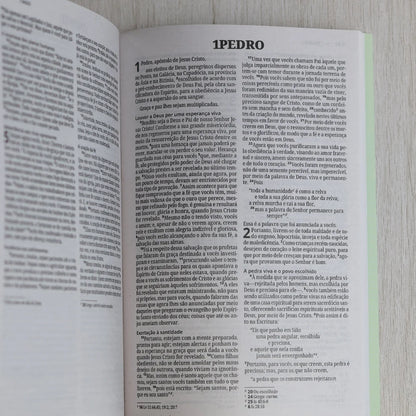 Bíblia Sagrada Árvore | NVI | Capa Brochura