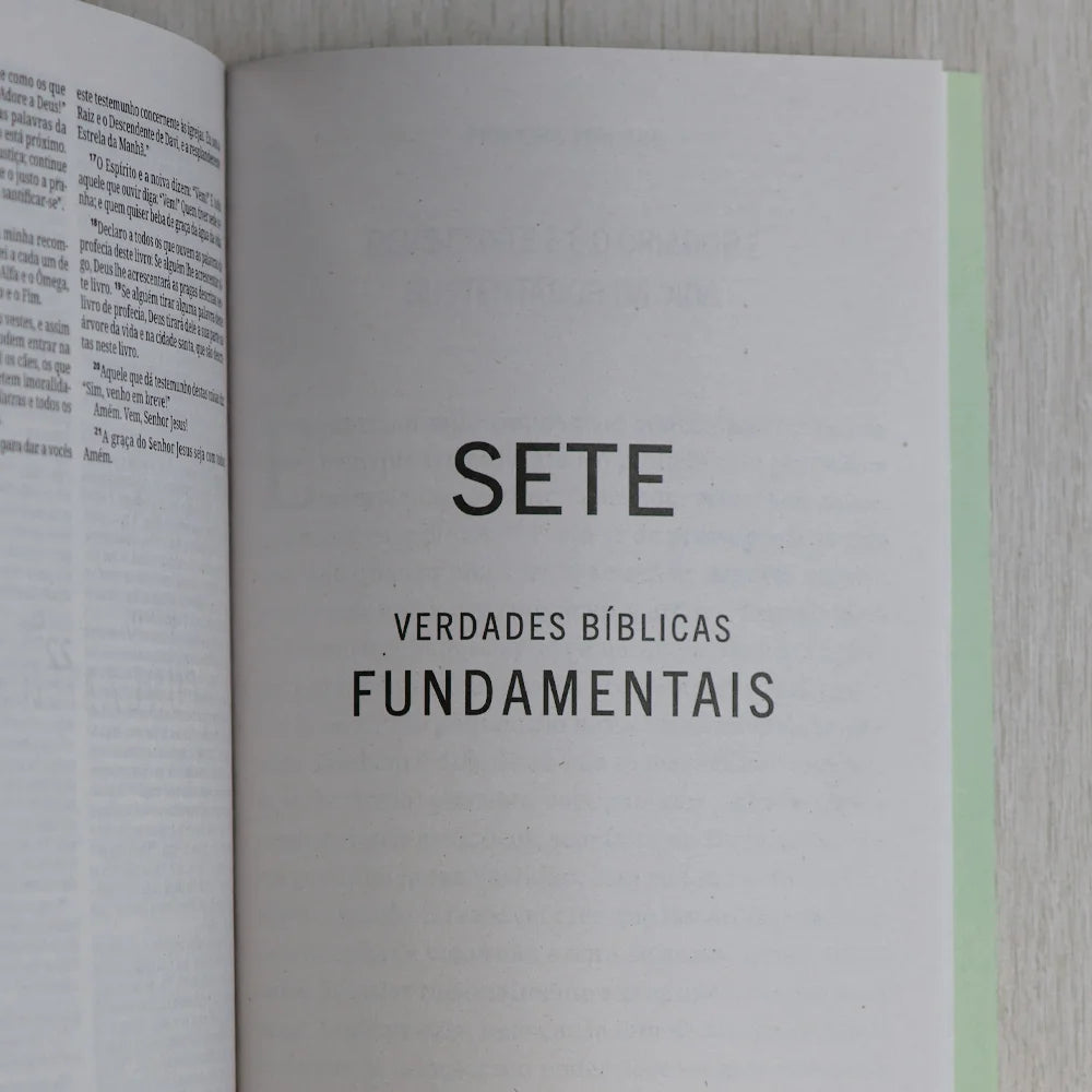 Bíblia Sagrada Árvore | NVI | Capa Brochura