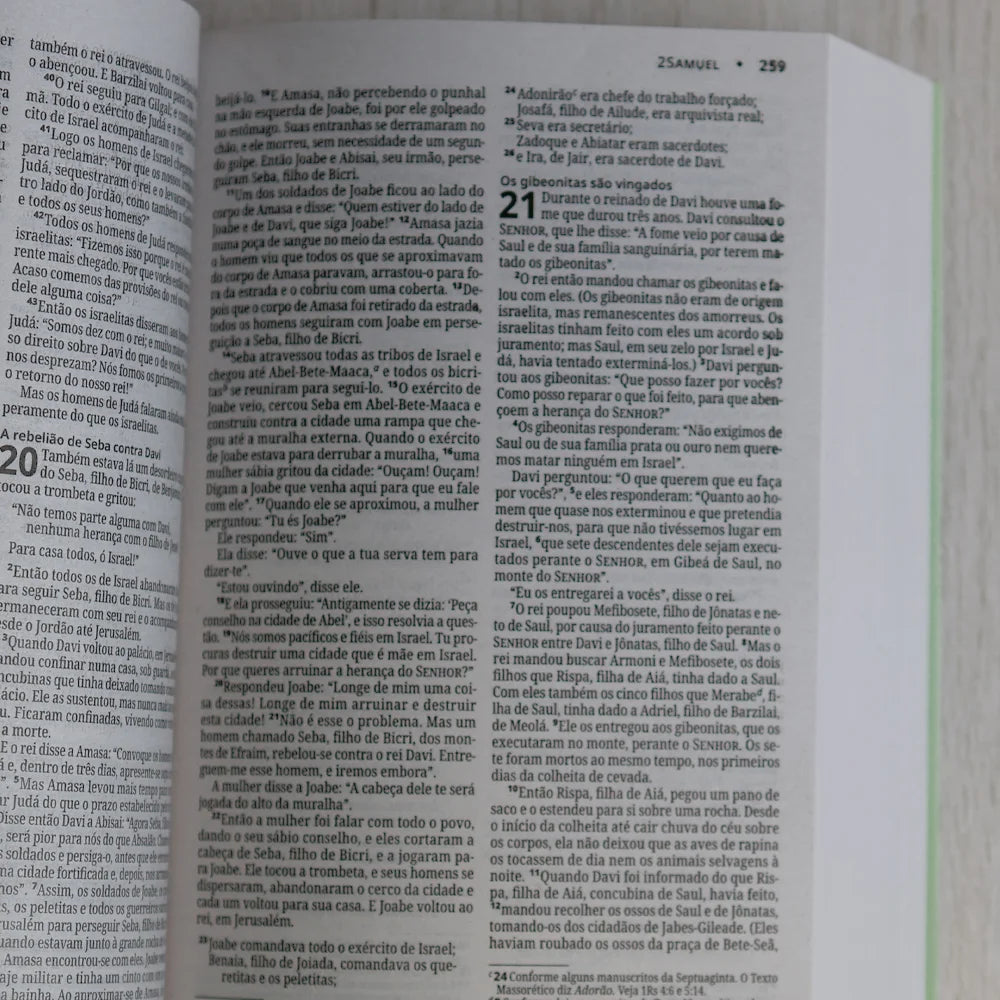 Bíblia Sagrada Árvore | NVI | Capa Brochura