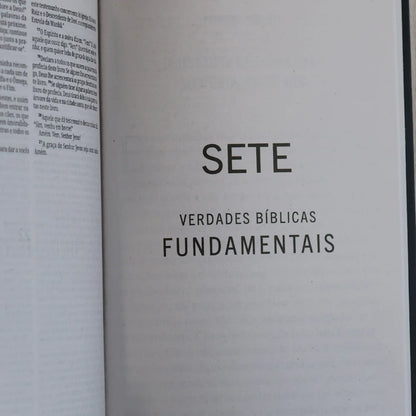 Bíblia Sagrada Leão Coroado | NVI | Capa Brochura