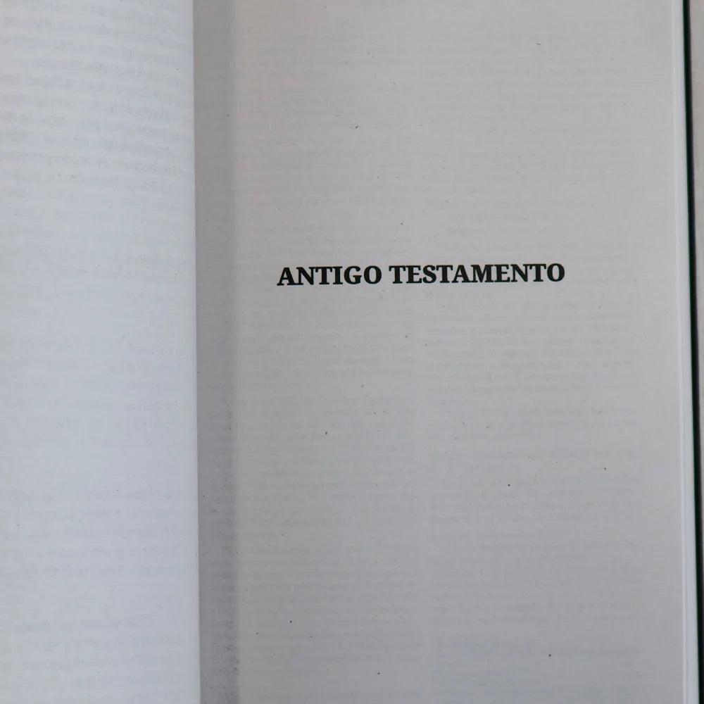 Bíblia Sagrada Leão Coroado | NVI | Capa Brochura