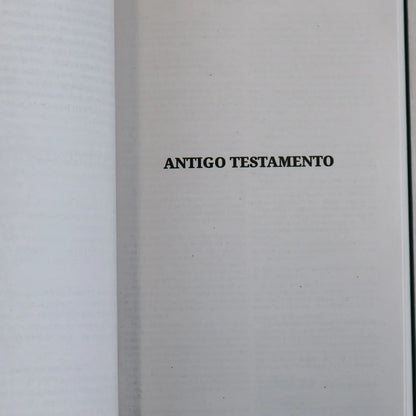 Bíblia Sagrada Leão Coroado | NVI | Capa Brochura