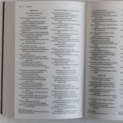 Bíblia Sagrada Leão Coroado | NVI | Capa Brochura