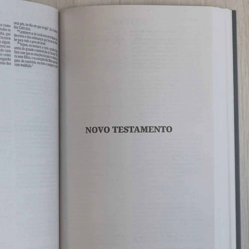 Bíblia Sagrada Leão Coroado | NVI | Capa Brochura