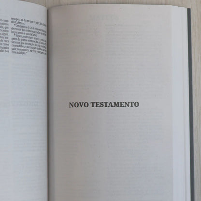 Bíblia Sagrada Leão Coroado | NVI | Capa Brochura