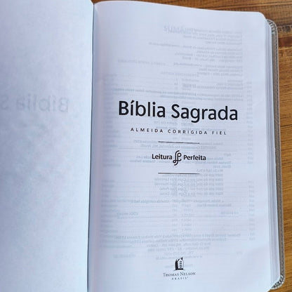 Biblia Sagrada Slim | ACF | Luxo Cinza