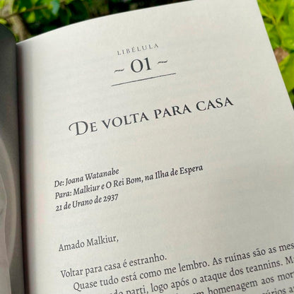 Todas as Minhas Libélulas | Gabrielli Casseta