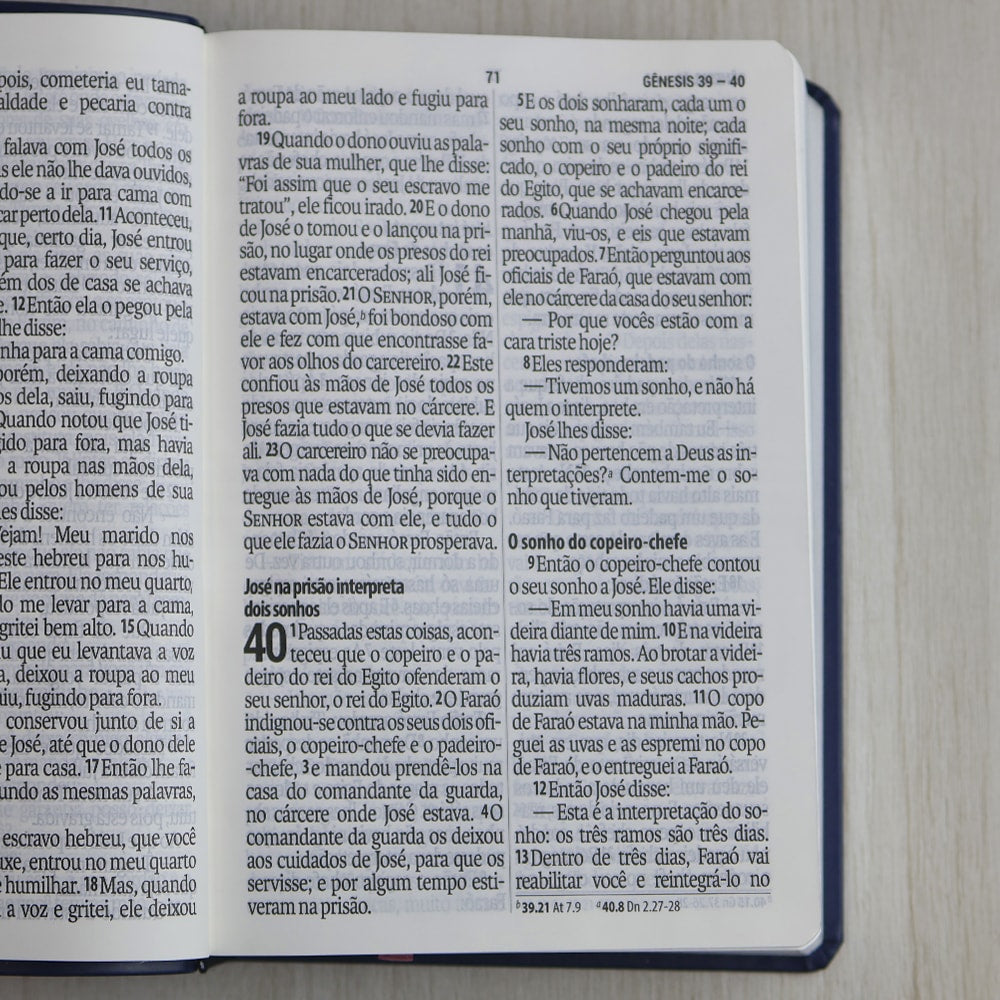 Bíblia Sagrada | Letra Supergigante | NAA | Capa Luxo Azul e Rosa