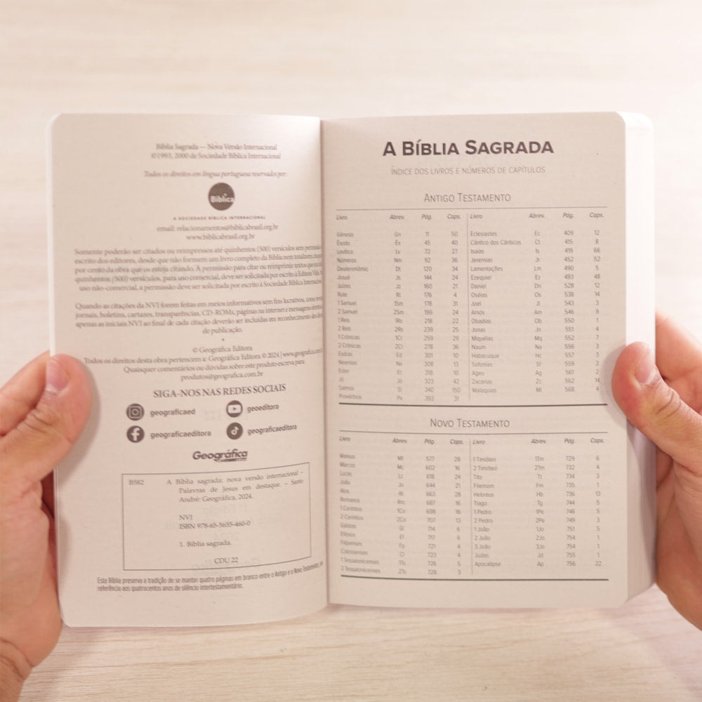 Bíblia Sagrada Floral Rosê | NVI | Letra Normal | Capa Brochura