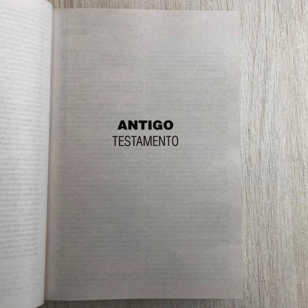 Bíblia Sagrada Lírios Laranja | NAA | Letra Normal | Capa Ilustrada