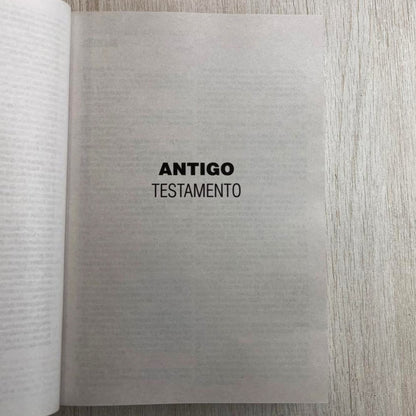 Bíblia Sagrada Lírios Laranja | NAA | Letra Normal | Capa Ilustrada