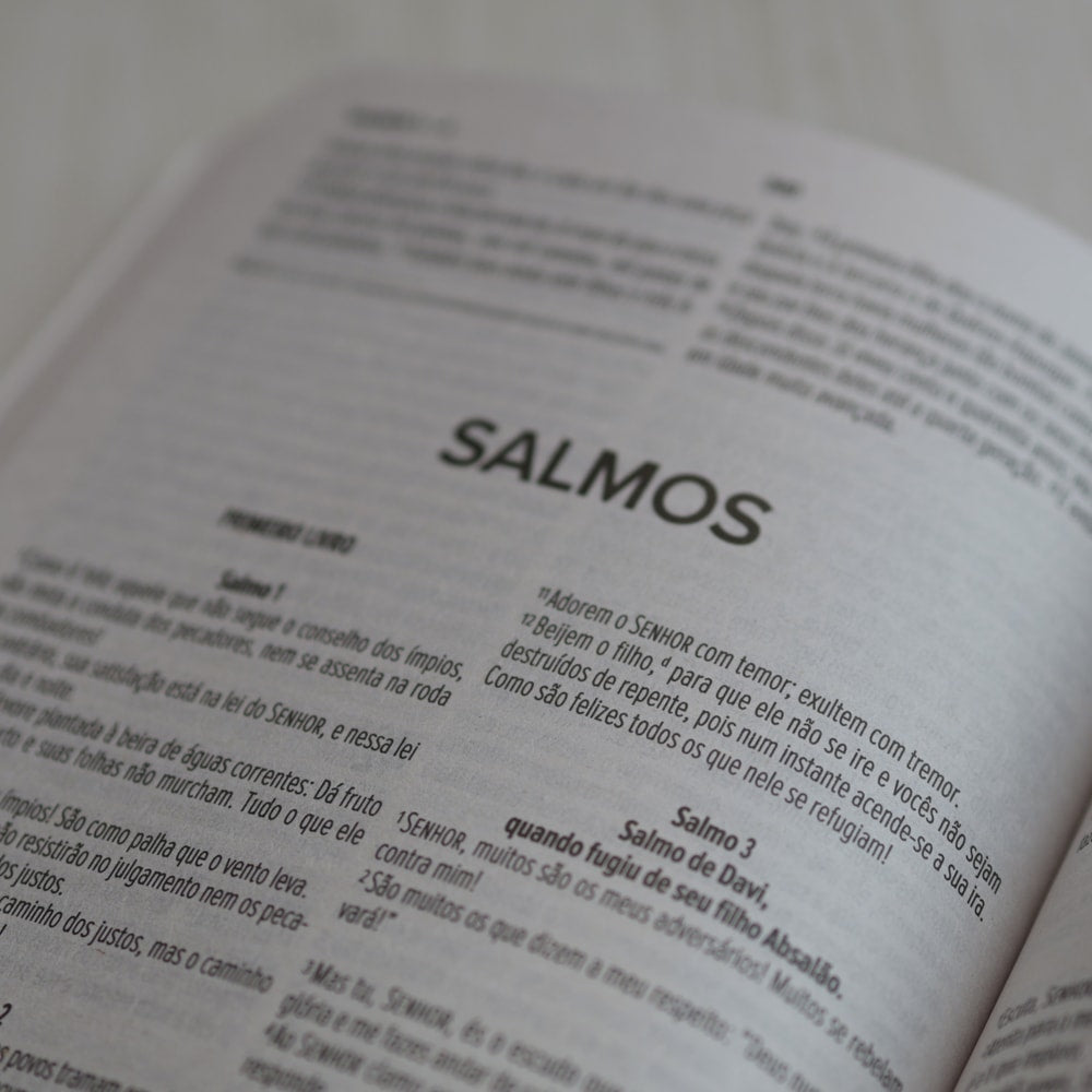 Bíblia Sagrada Leão | NVI | Capa Brochura