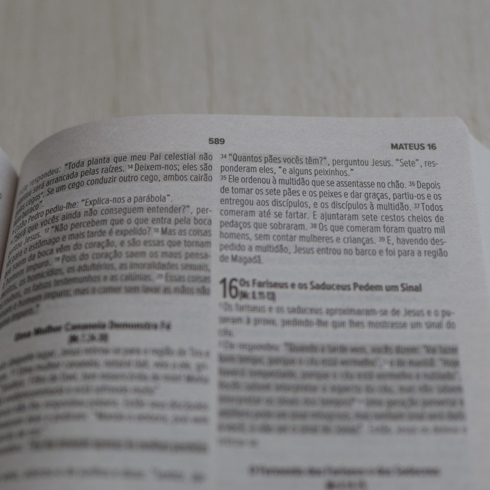 Bíblia Sagrada Leão | NVI | Capa Brochura