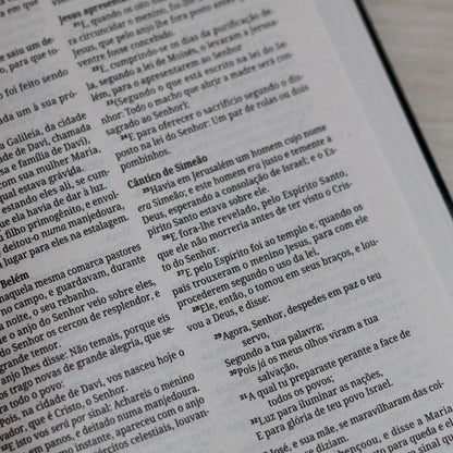 Bíblia Sagrada Leão | ACF | Letra Normal | Capa Brochura