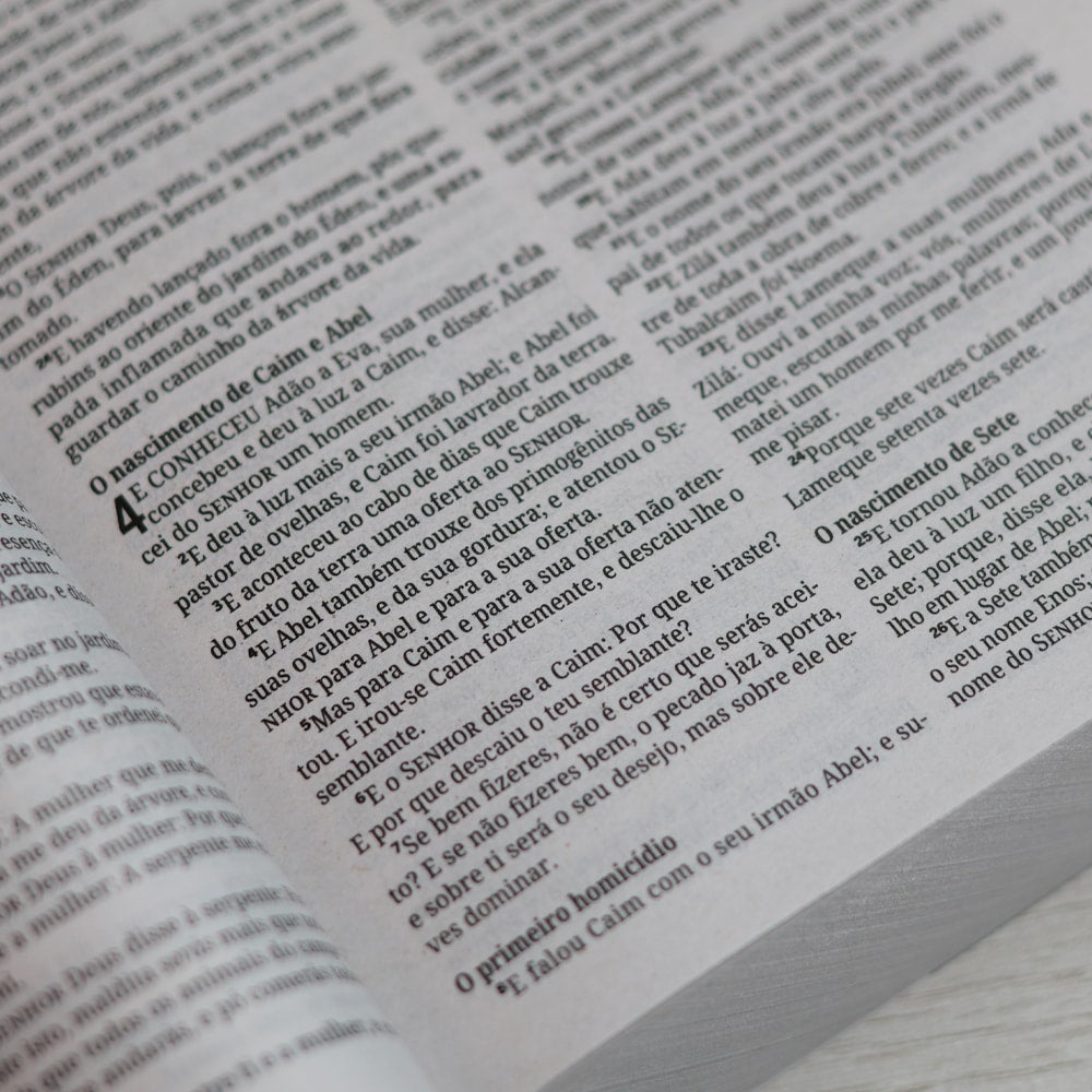 Bíblia Sagrada Leão | ACF | Letra Normal | Capa Brochura