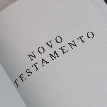 Bíblia Sagrada Leão | ACF | Letra Normal | Capa Brochura