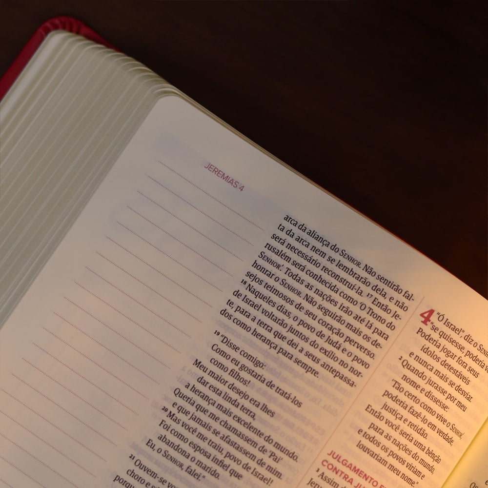 Bíblia Mulheres Frame e Floral | Viviane Martinello | NVT | Espaço Para Anotações | Capa Luxo Rosa