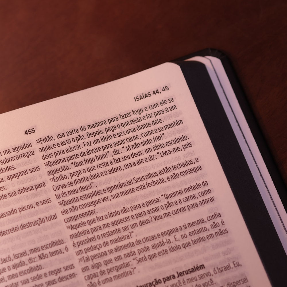 Biblia Sagrada Slim Herdeiro do Trono  NVT  Capa Dura