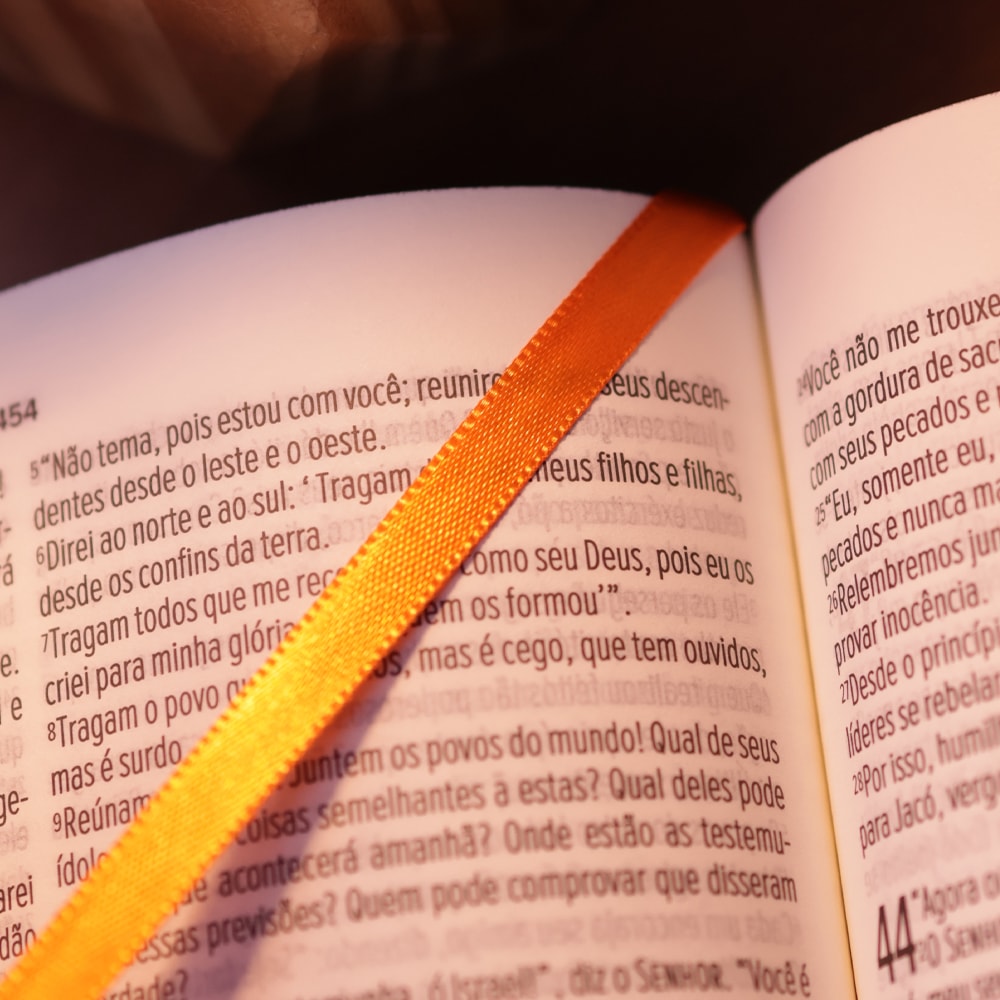 Biblia Sagrada Slim Herdeiro do Trono  NVT  Capa Dura