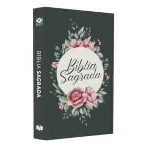 Biblia Sagrada Slim  Buque  NVT  Capa Dura