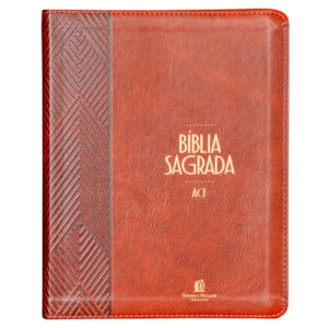 Biblia Sagrada  ACF  Espaco Para Anotacoes  Leitura Perfeita  Couro-Soft Marrom