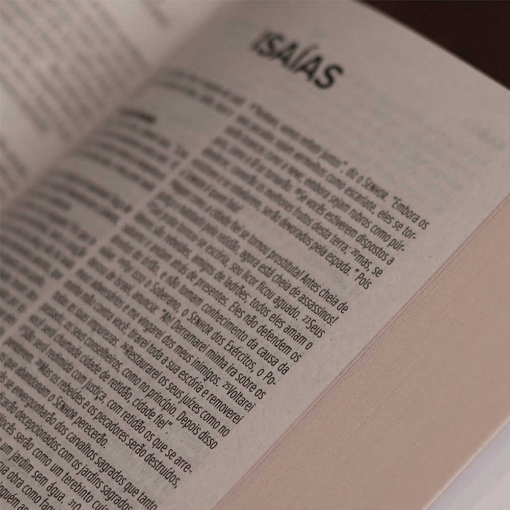 Bíblia Sagrada Nova Alvorada | NVI | Letra Normal | Capa Brochura