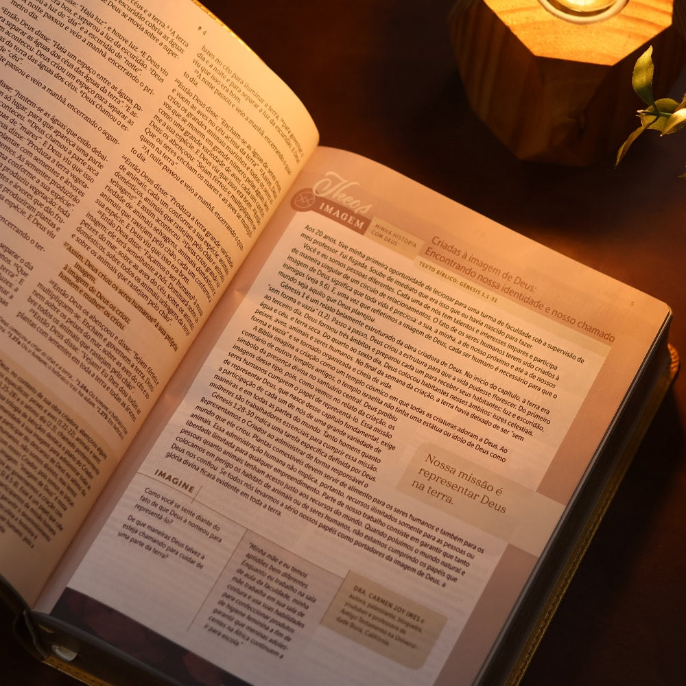 Biblia de Estudo Para Toda Mulher  NVT  Capa Bege
