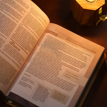 Biblia de Estudo Para Toda Mulher  NVT  Capa Bege