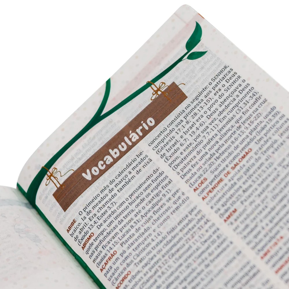 Bíblia Explicada Para Crianças Smilinguido | Futebol | NTLH | Capa Dura