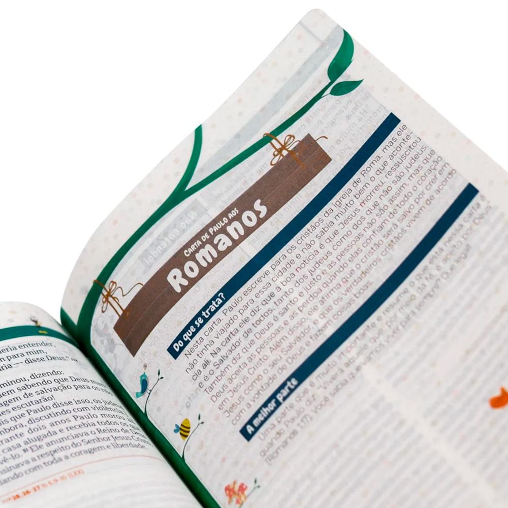 Bíblia Explicada Para Crianças Smilinguido | Futebol | NTLH | Capa Dura