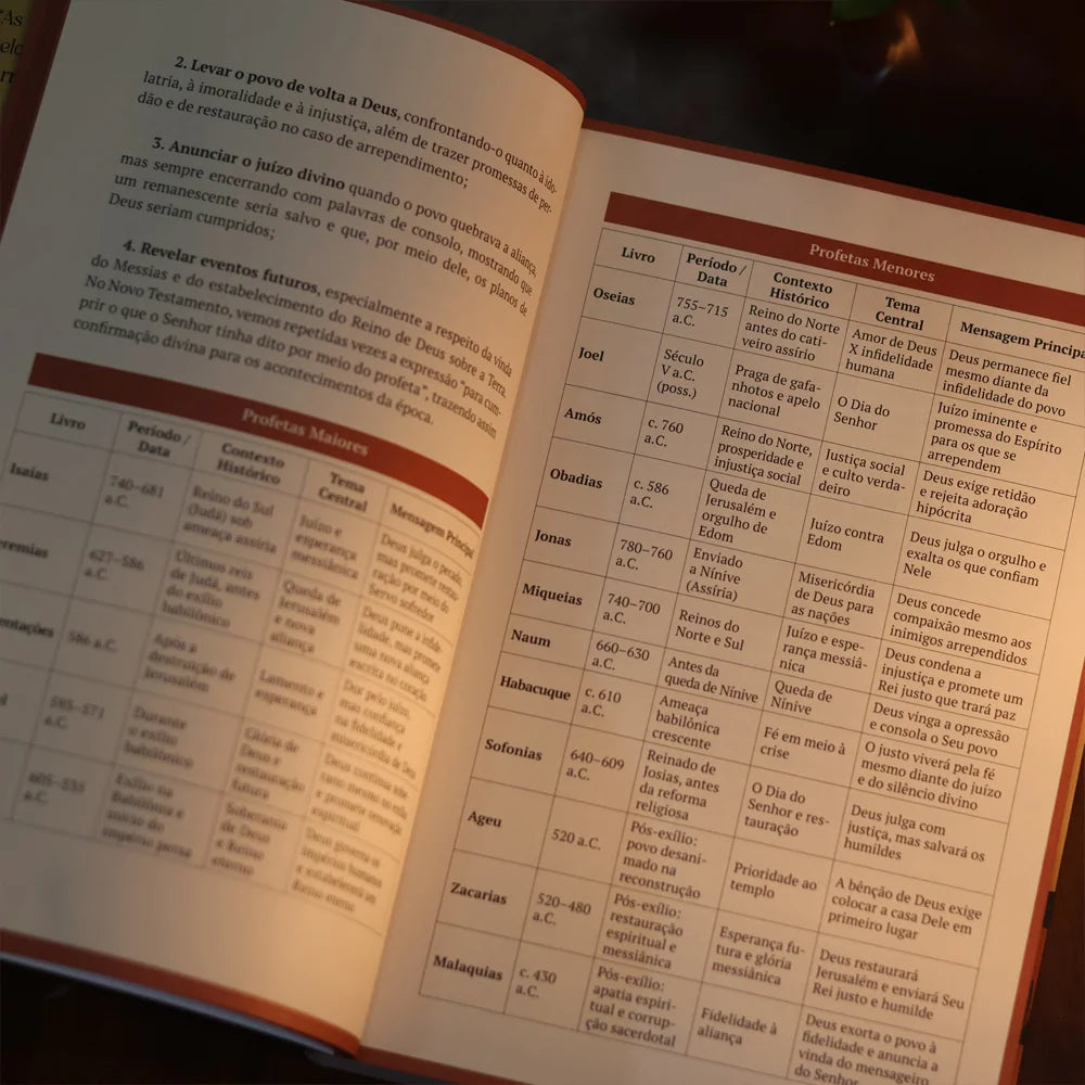 Devocional Palavras Profeticas 2026 | Carlito Paes