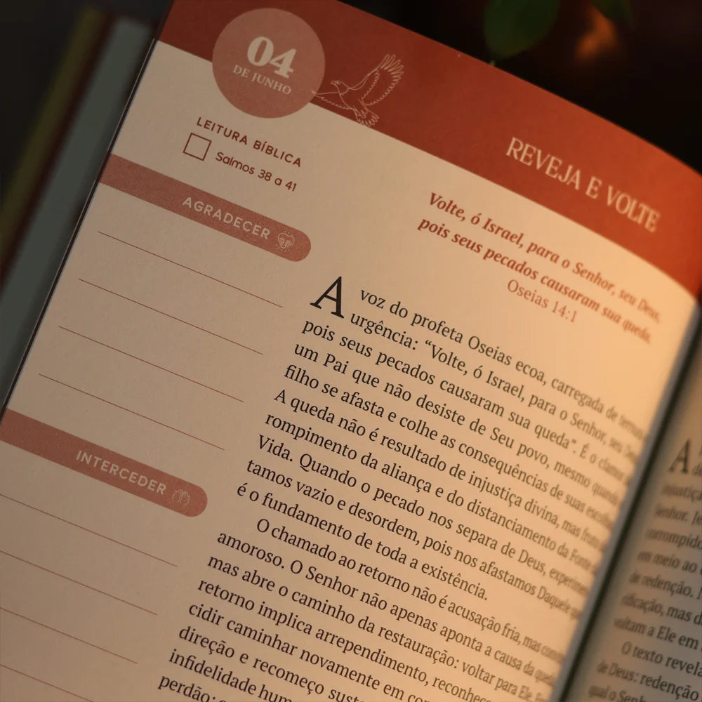 Devocional Palavras Profeticas 2026 | Carlito Paes