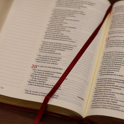 Biblia Mulheres  NVT  Viviane Martinello  Videira Vinho