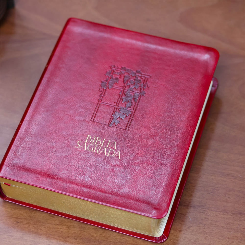 Biblia Mulheres  NVT  Viviane Martinello  Videira Vinho